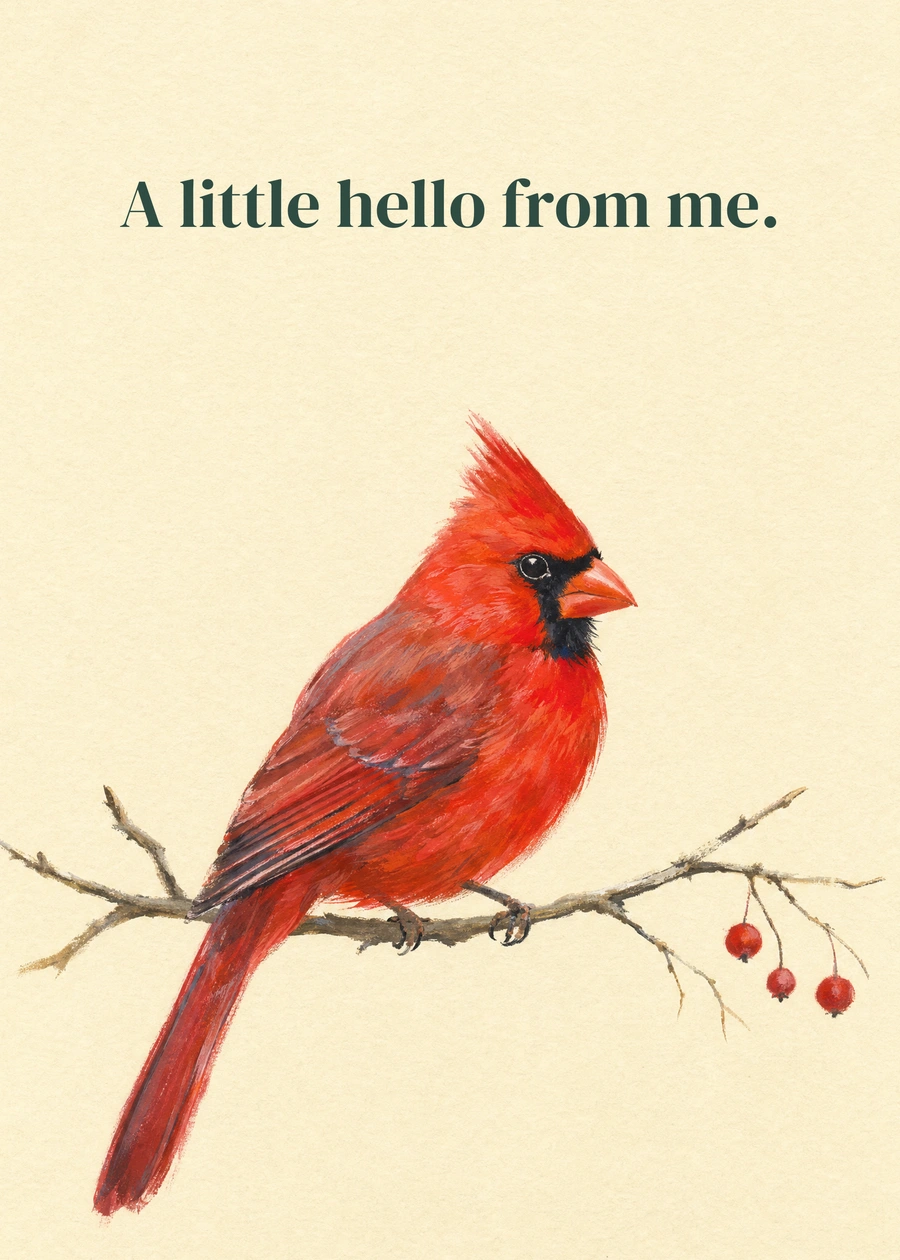 Personalized A Cardinal Hello Greeting Card front with example wording: A little hello from me.